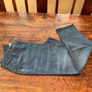 Catherine's Right Fit - Moderately Curvy Women's Blue Jeans - Size 16W